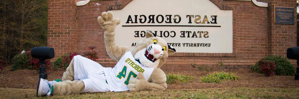 bobcat mascot